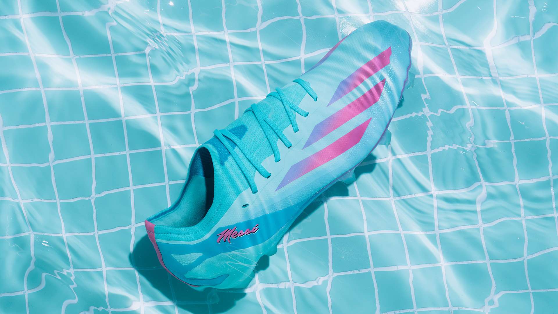 首次亮相的 首次亮相的