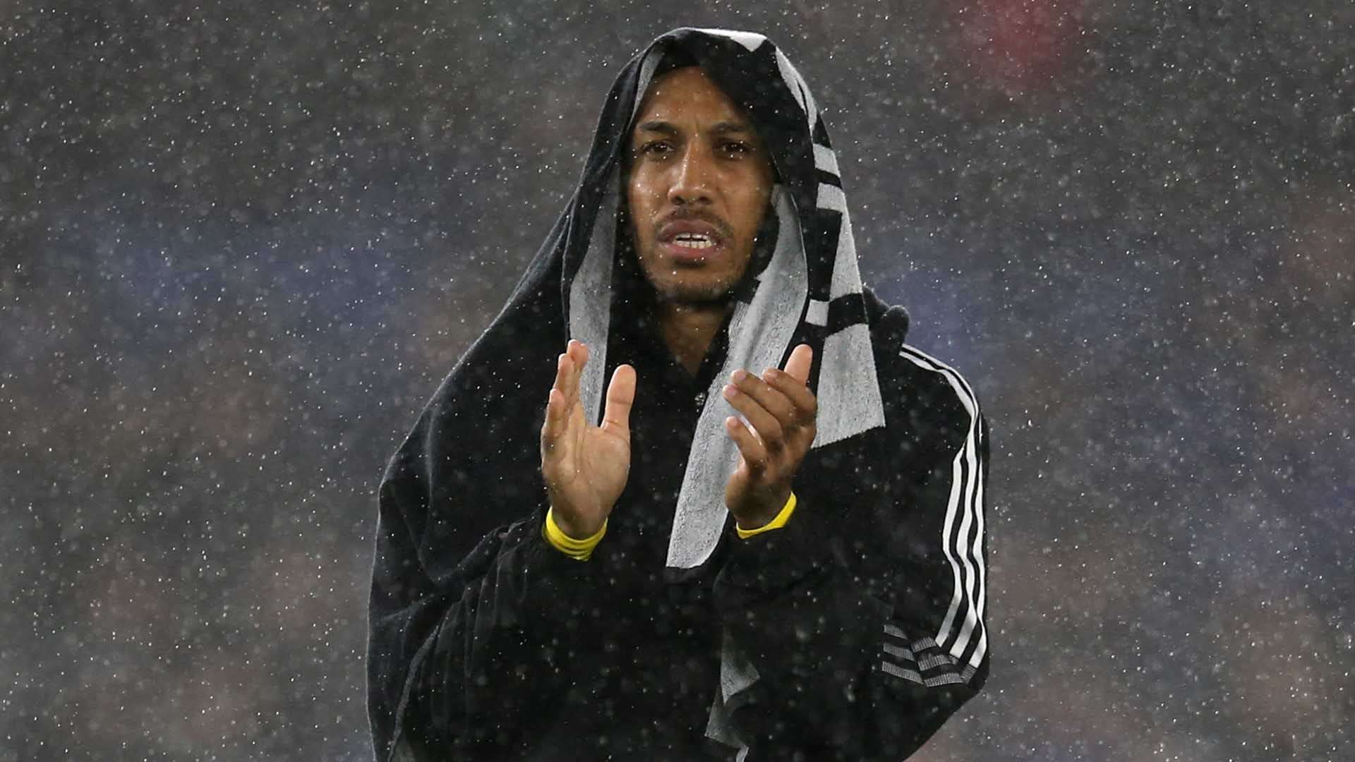 的完美表现 的完美表现