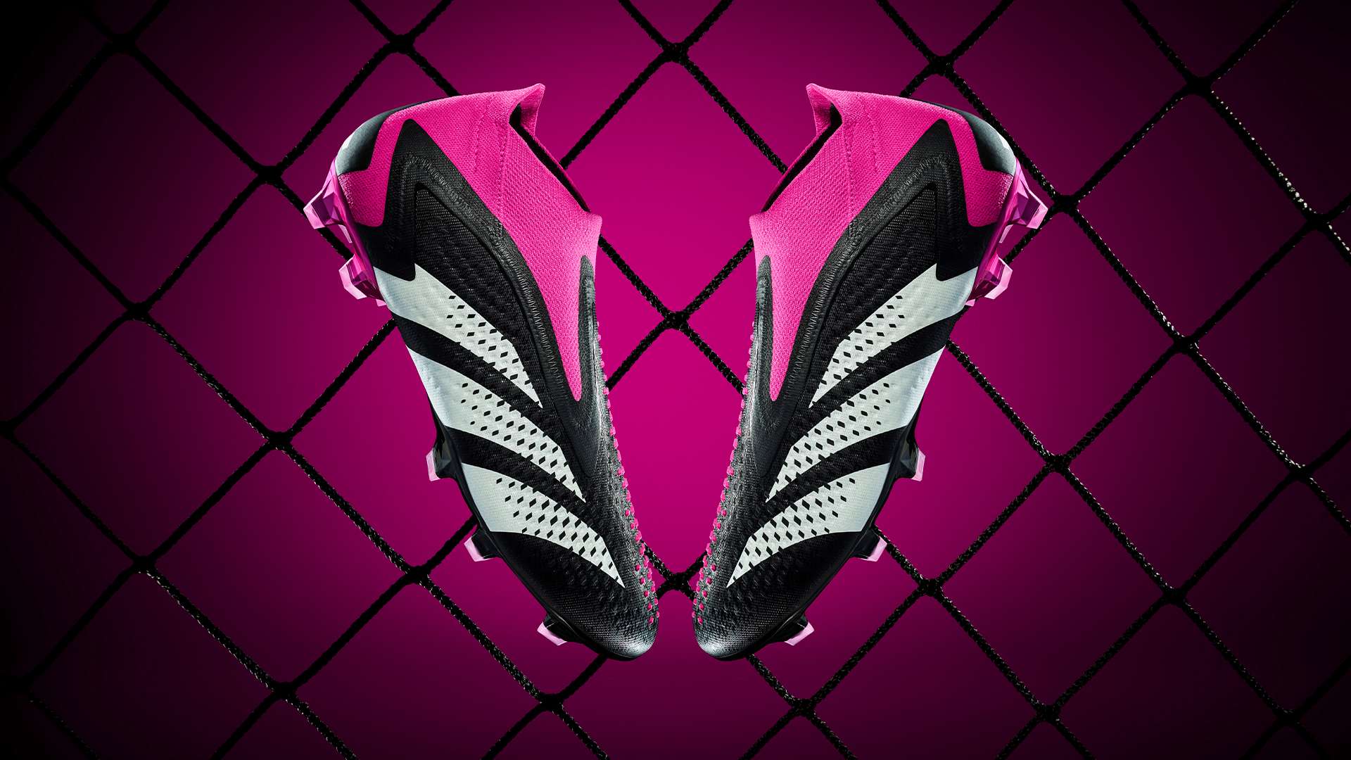 的照片更多 的照片更多